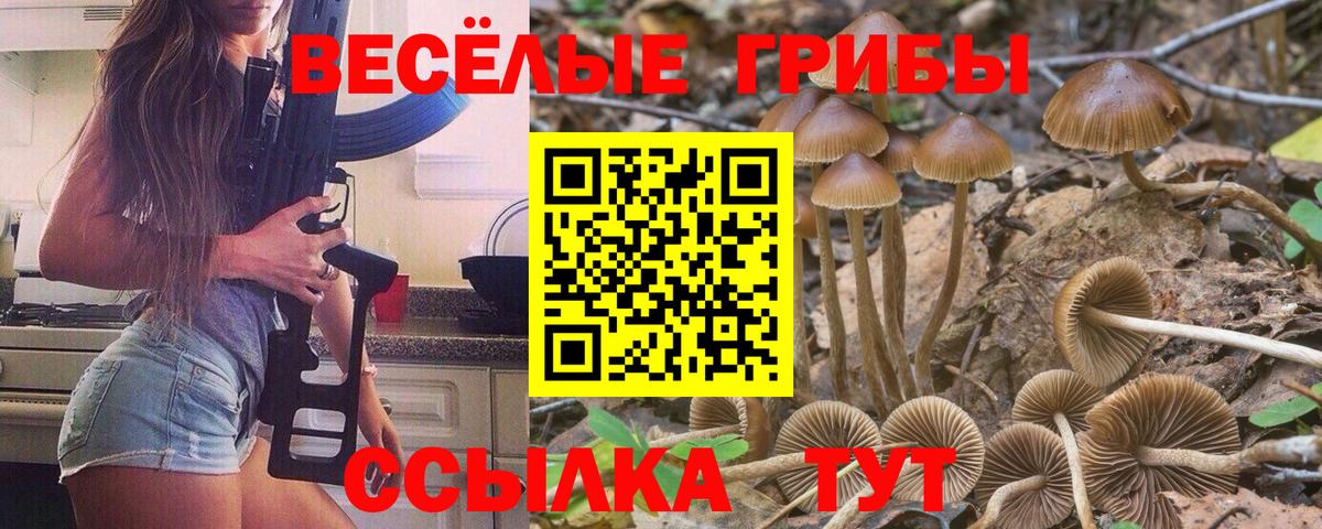 Галлюциногенные грибы Cubensis  Вход с VPN  цены наркотик  Чита 