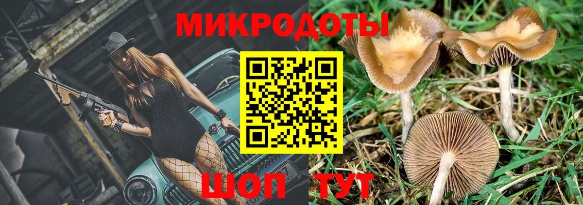 Псилоцибиновые грибы GOLDEN TEACHER Чита
